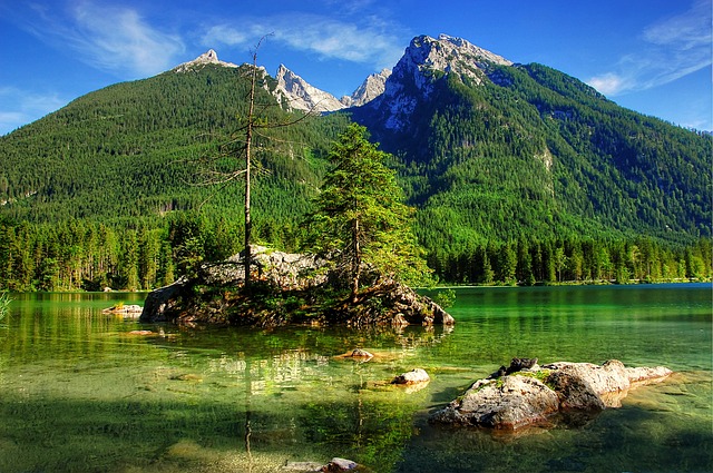 经济惨遭重