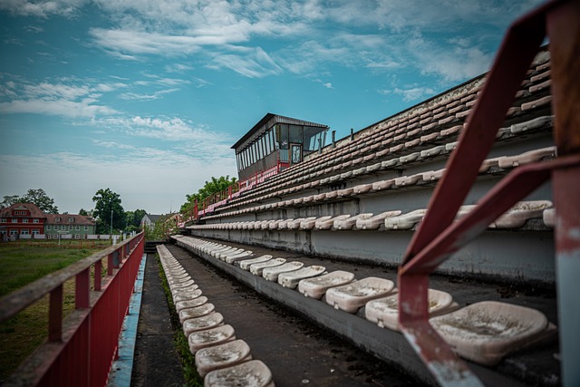 了有利条件 了有利条件