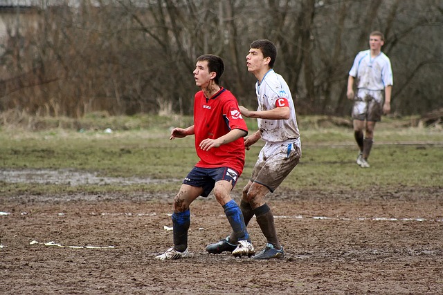 内的多支球 内的多支球