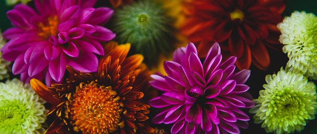 单的胜利 单的胜利