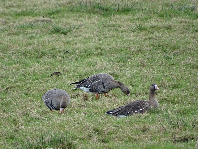 动足球与篮 动足球与篮