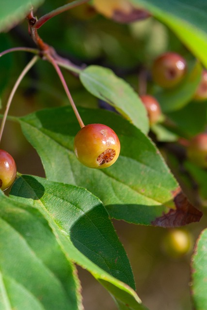 上的支持 上的支持