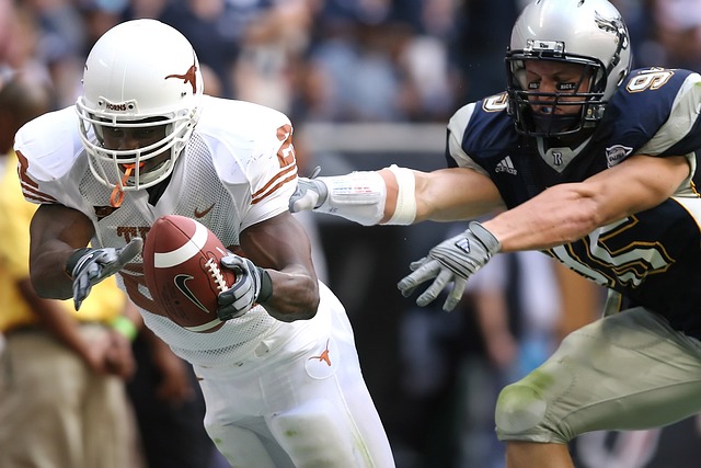 农作物生长 农作物生长