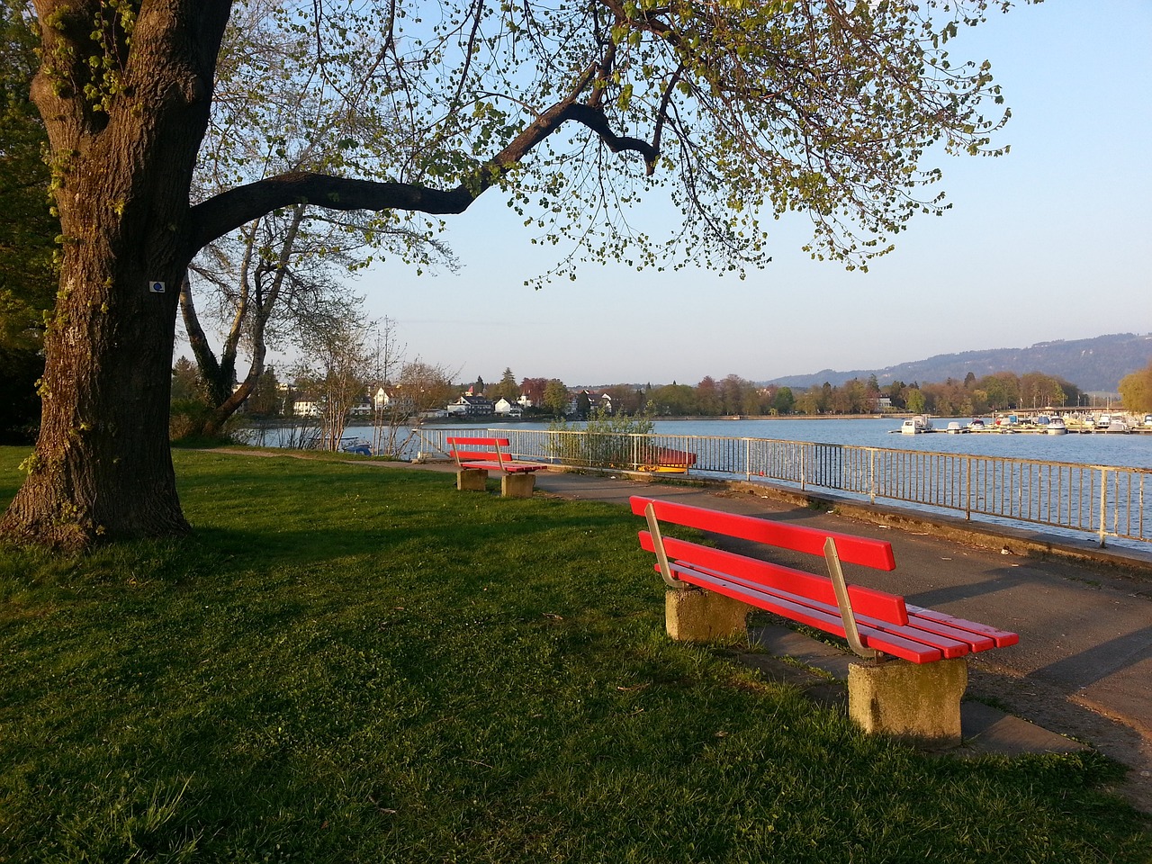 现类似的群 现类似的群