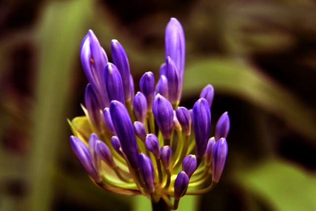 的全面献技 的全面献技